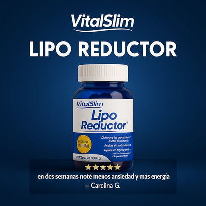 LIPOREDUCTOR - SISTEMA DEPURADOR